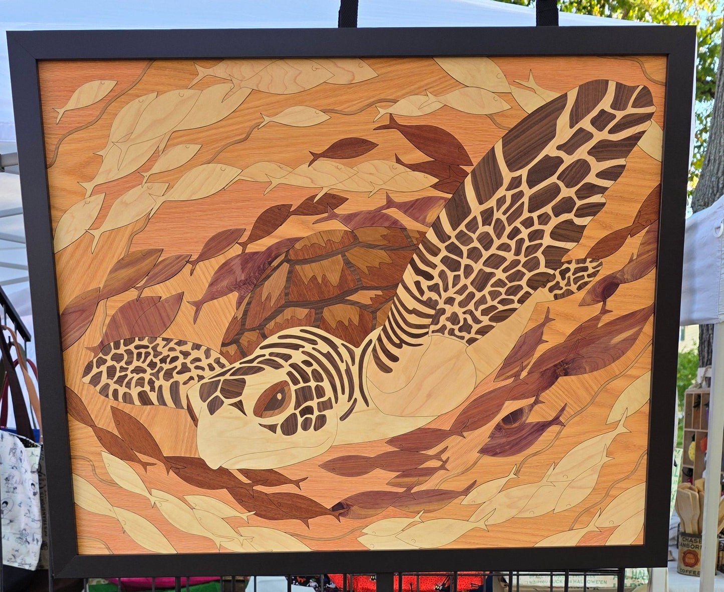 Swim with the Fishes